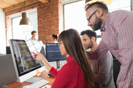 Web Developers at work